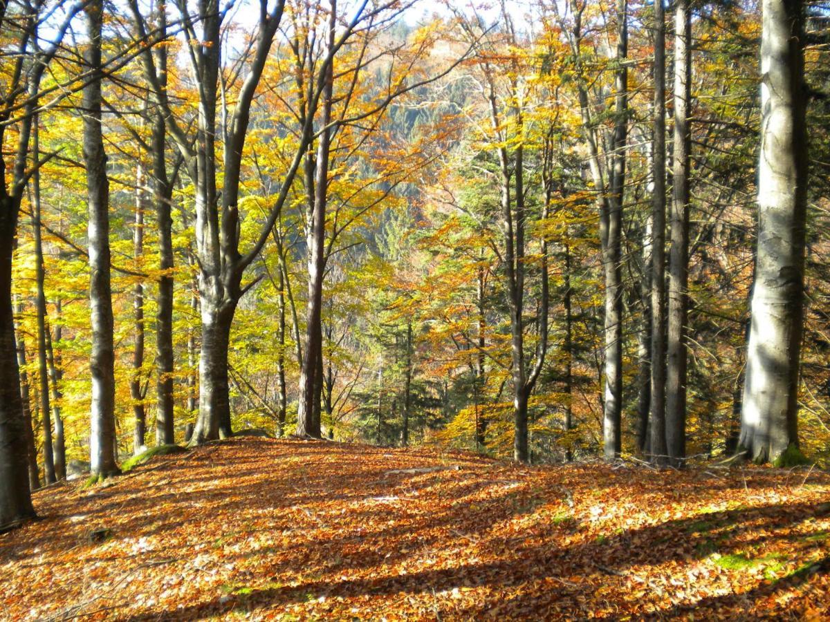 Gaestezimmer Weiss * Maria Taferl